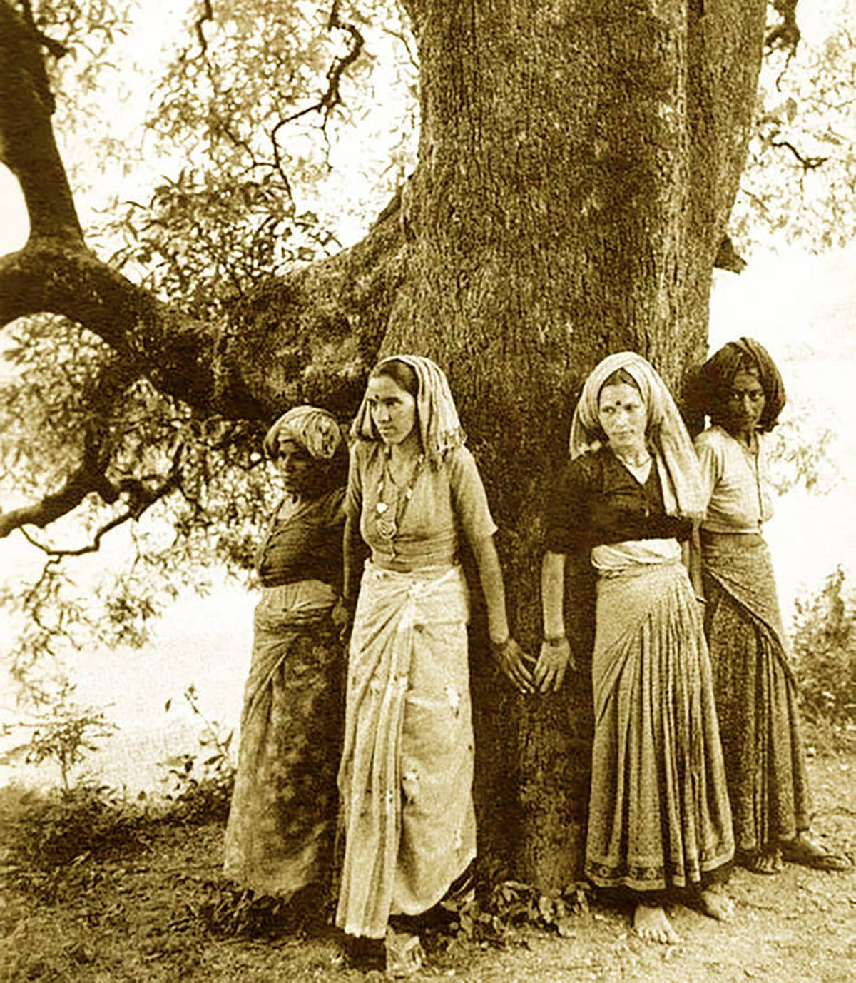 What is the chipko movement? What are its goals? How successful has it  been? - Quora