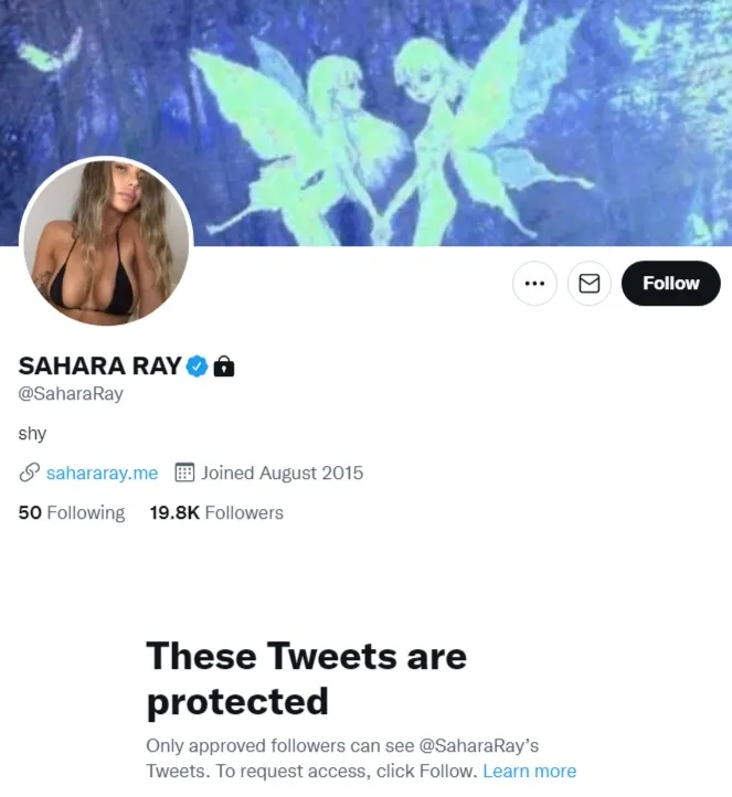 Screengrab of the Twitter account of Sahara Ray