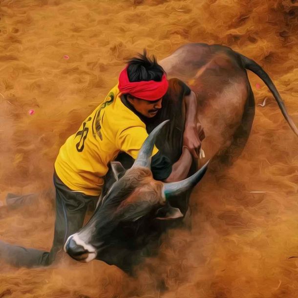 Jallikattu is legally and morally the right of Tamils