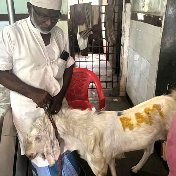 Mumbai: Shop Owner Detained After Visuals of Goat Meant for Bakrid Scribbled with ‘Ram’ Goes Viral on Social Media
