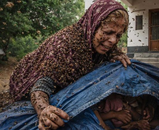 The Legend of Ranpur: A Tribute to the Noble Sacrifice of Kanchan Bai Meghwal